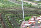 Buanglasustainable-landscaping-29.jpg; ?>